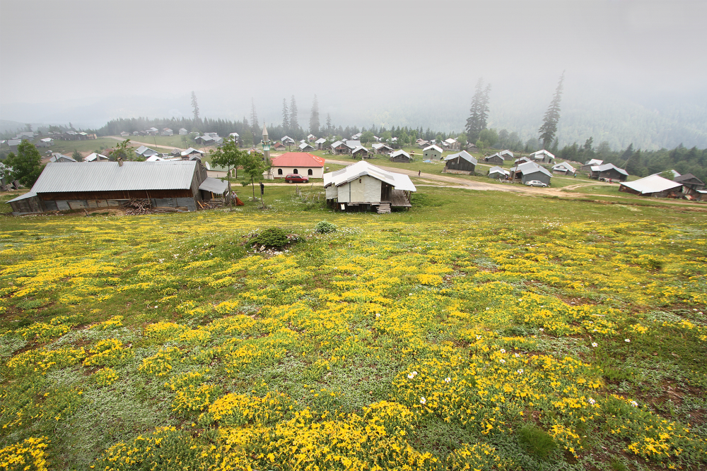 Doğa Yürüyüşü (trekki̇ng) - Kungul Daği - Fotoğraf 7